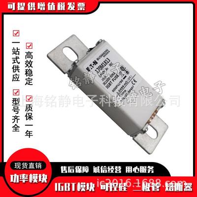 170012M1812170M18311170M1824170M825巴斯曼熔断1器现货170N826