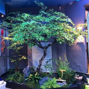 仿真鸡爪绿观枫树槭枯山水景假植物室内楼梯橱窗景饭造店套装8989