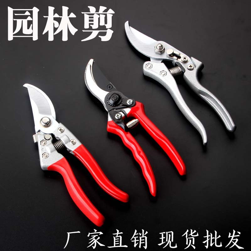 园林剪刀 修枝剪树枝果枝修剪粗枝园艺鸟嘴修剪树枝厂家现货批发