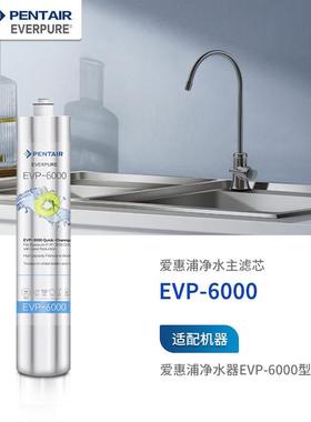 爱惠浦 Everpure EVP-6000 净水器主滤芯