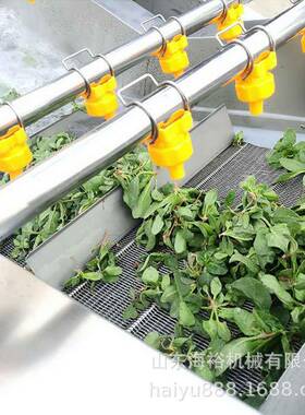 中央厨房预清制全自动气机泡洗菜机多功能果蔬清洗车厘子喷淋VLE