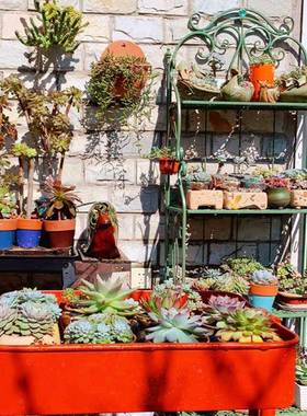 铁艺多肉现植阳植台架简约可移动做物旧绿色四层花盆架绿展GXU示