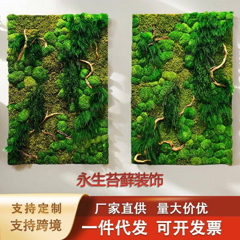苔挂画样板客厅室墙面间装青苔挂画青饰公壁画永生苔藓装饰画