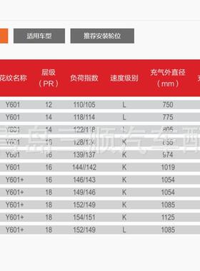 德安通6轮胎卡.车轮胎全钢丝胎老三线花纹10客GOZ00R20-18Y01