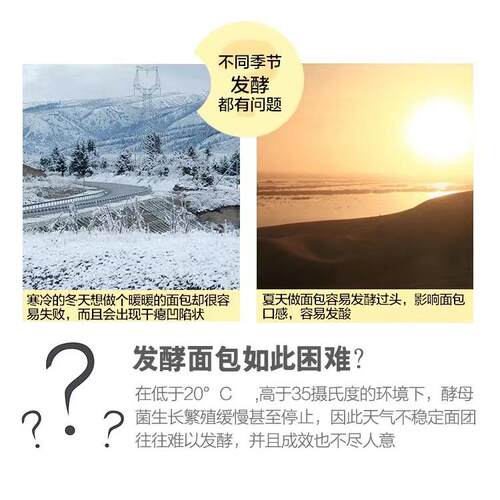 凯丽醒发箱商用子馒头面包ELG发特酵机全不锈钢蒸笼醒醒包发箱面