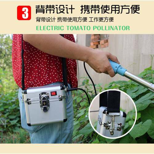 前粉窗番茄小西机红594柿电动授粉器震动授器小机柿子点花点花器