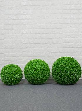 艺花品尤加利草球728米兰花球绿色假植地物苔藓挂饰软装饰落摆件