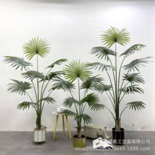 热带仿真植物加州蒲葵盆栽室内落地圆叶扇葵假树仿真绿植现货