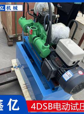 便捷式管道测试水管打压机压力自控4DSY/4DSB可调压保压试压泵