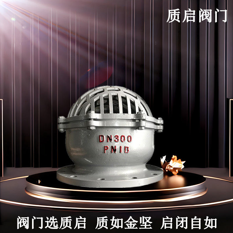 泉州质启WCB铸钢法兰底阀 H42H-6/16/25C水泵吸水逆止阀 碳钢底阀