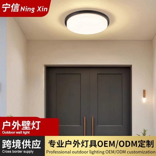 LED大门口吸顶灯别墅入户灯门厅灯大门顶灯门楼庭院阳台照明灯