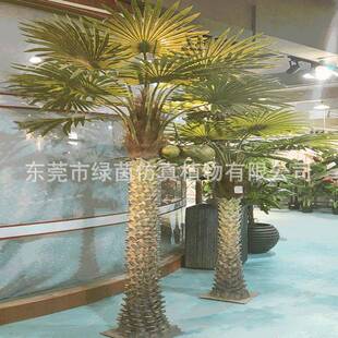 仿真植物扇葵树扇叶葵葵扇叶蓬扇树葵扇木扇葵竹铁力木家居装饰