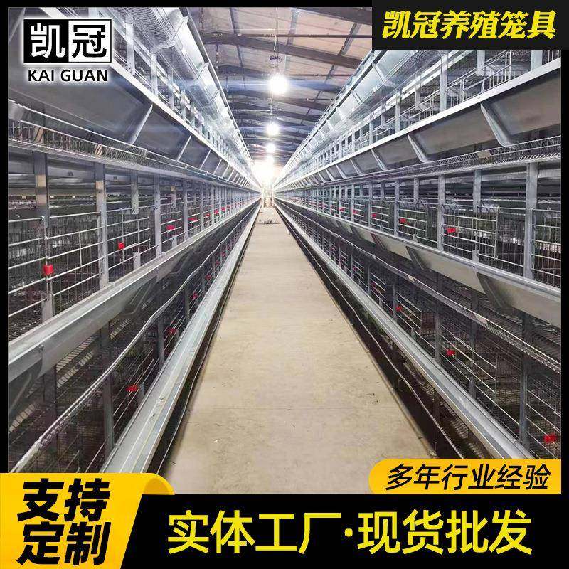 框架蛋鸡笼工业化养殖设备全自动化畜牧饲养机械热镀锌立体养鸡笼,节庆用品/礼品,新娘配件,淘宝优惠券,粉丝福利购,淘宝优惠卷