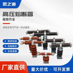 0.5A互感器保熔体 40.5 高压熔断器户外限流卡扣式 RXWO