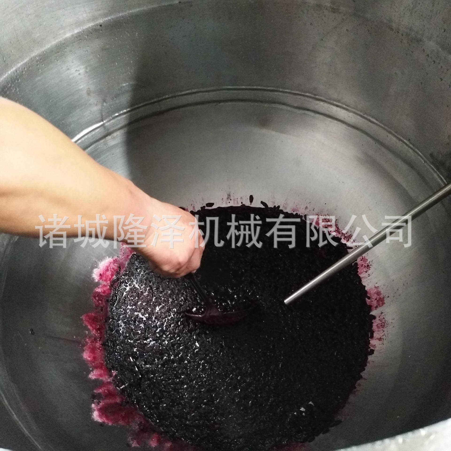 糖渍青梅果脯设备真空糖渍锅浸糖机真空