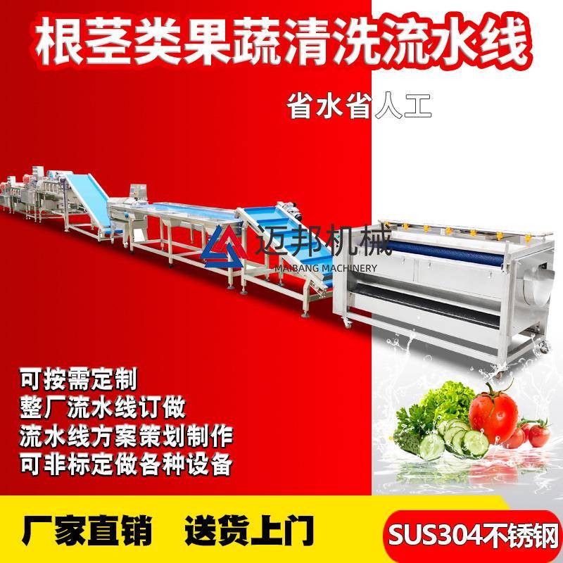 现货销售贡桔气泡清洗机全自动高压喷淋洗橙机水果厂用洗果机
