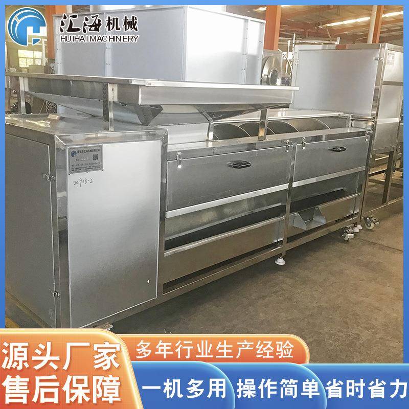 供应南瓜毛辊清洗机葛根去皮清洗机不锈钢毛辊清洗机设备