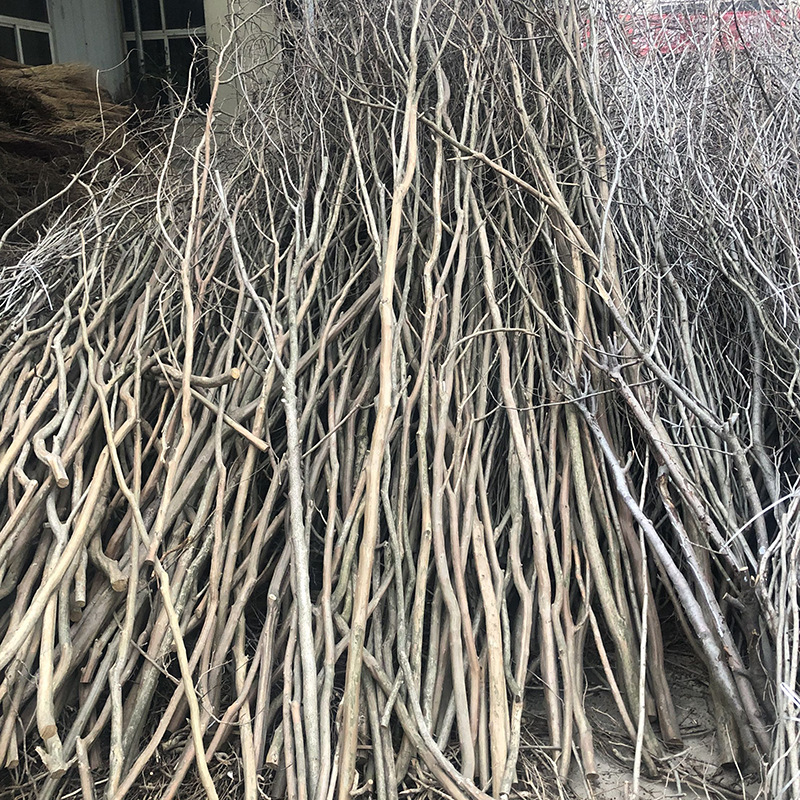 枯藤干树枝 家居仿真装饰树枝花艺软装材料 婚礼舞台背景搭建干枝