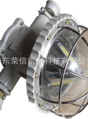 DGS36/127L(A)矿用隔爆型LED巷道灯135---6271----8011
