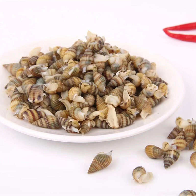 整箱10斤包邮冷冻海瓜子熟冻即食海螺丝 海锥无沙 麻辣捞汁食材小