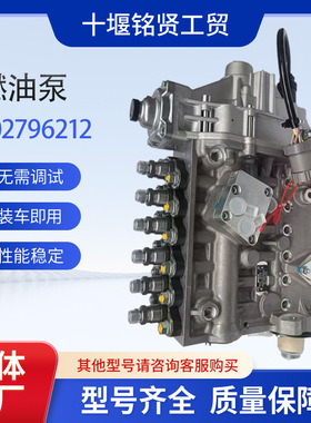 康明斯QST30发动机右侧泵0402796212柴油泵2881835 3093635