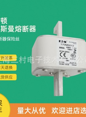 原装快速熔断器保险丝170M6012 170M6013 170M6060 170M6061