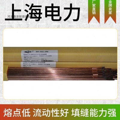 上海电力PP-H08CrMoA耐热钢焊丝 镀铜埋弧气保焊丝2.02.4
