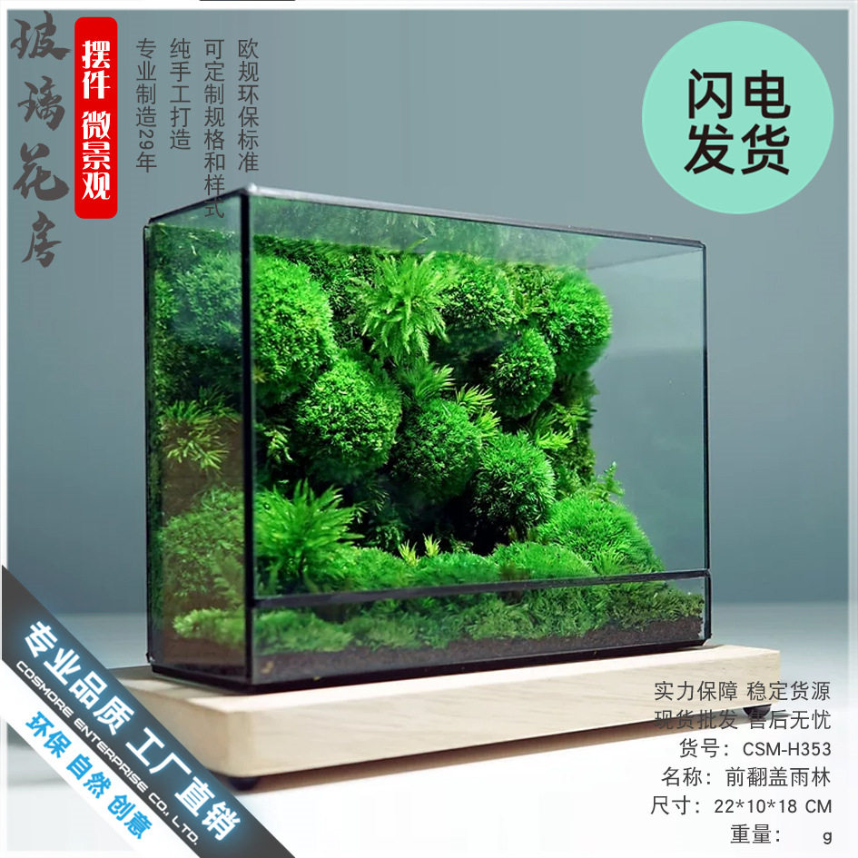 微景观几何玻璃花房苔藓墙玻璃缸桌面生态瓶造景植物微缩森林景观