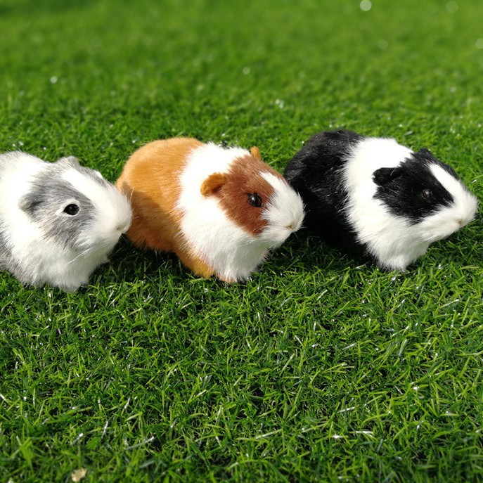 仿真动物仿真鼠学生认知动物模型动仿真豚鼠荷兰猪仓鼠天竺鼠葵鼠