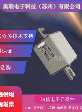 巴斯曼熔断器170M8507/8508/8509/8510/8511/8512/8513保险丝电容