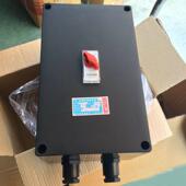 S低压空气式 BXS8050防爆防腐断路器FLK 32A BF28159 16A BLK8050