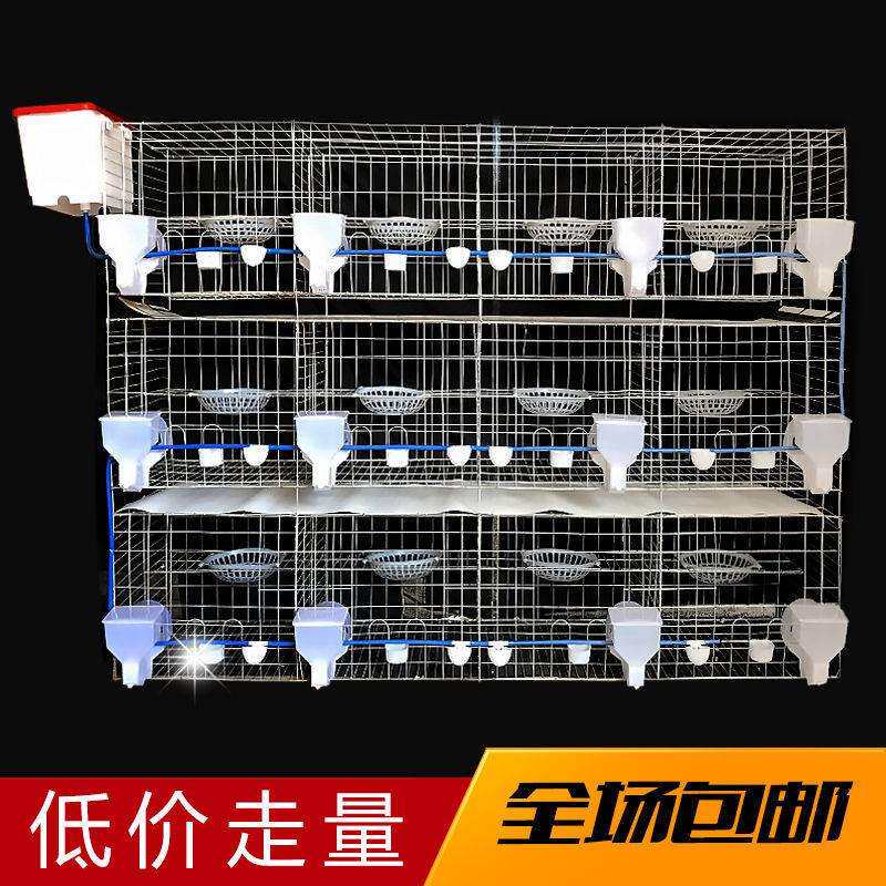 鸽子笼鸽子笼子家用养殖鸽子龙大号套鸽舍鸽棚大型网配对