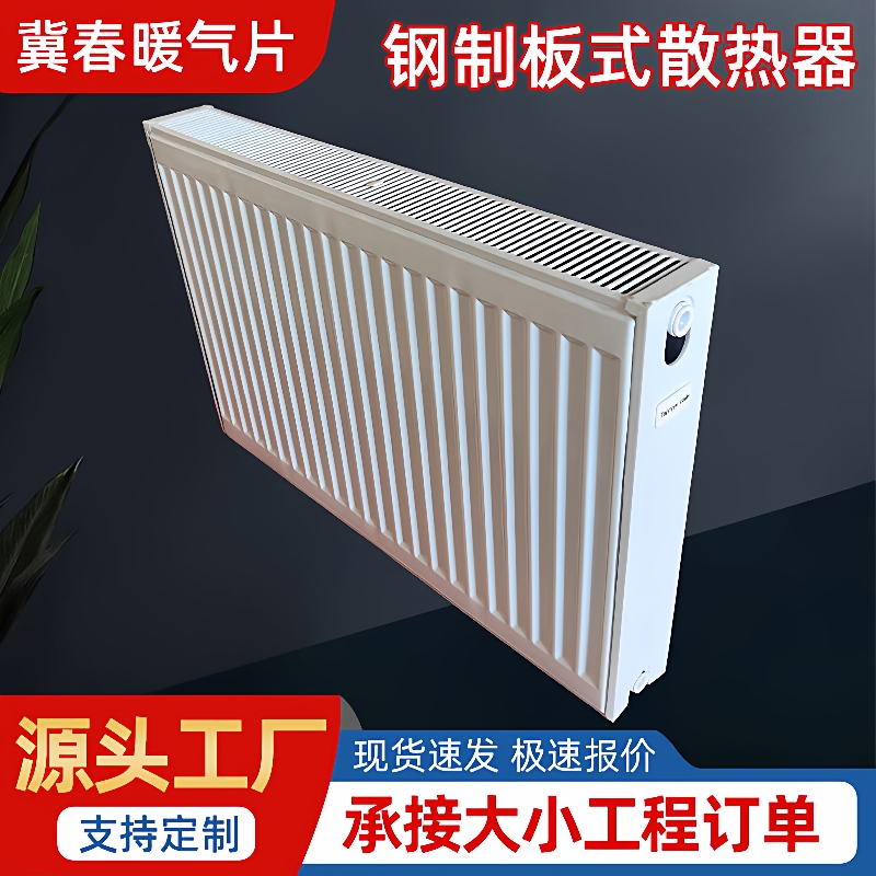 立式钢制板式暖气片新款家用水暖壁挂式天然气散热器明装加厚