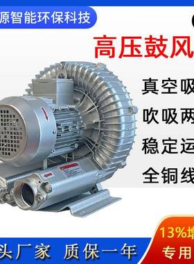 真空高压风机RB-81D-37.5kw旋涡式风机开料机雕刻吸附真空机气泵