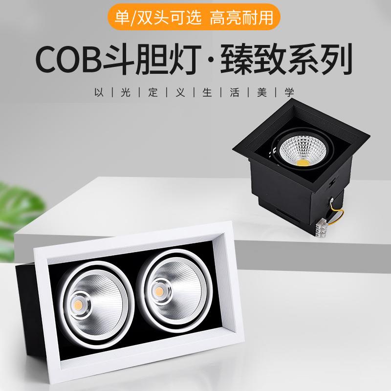 斗胆灯嵌入式单头双头天花灯led长方形过道格栅吊顶cob射灯豆胆灯