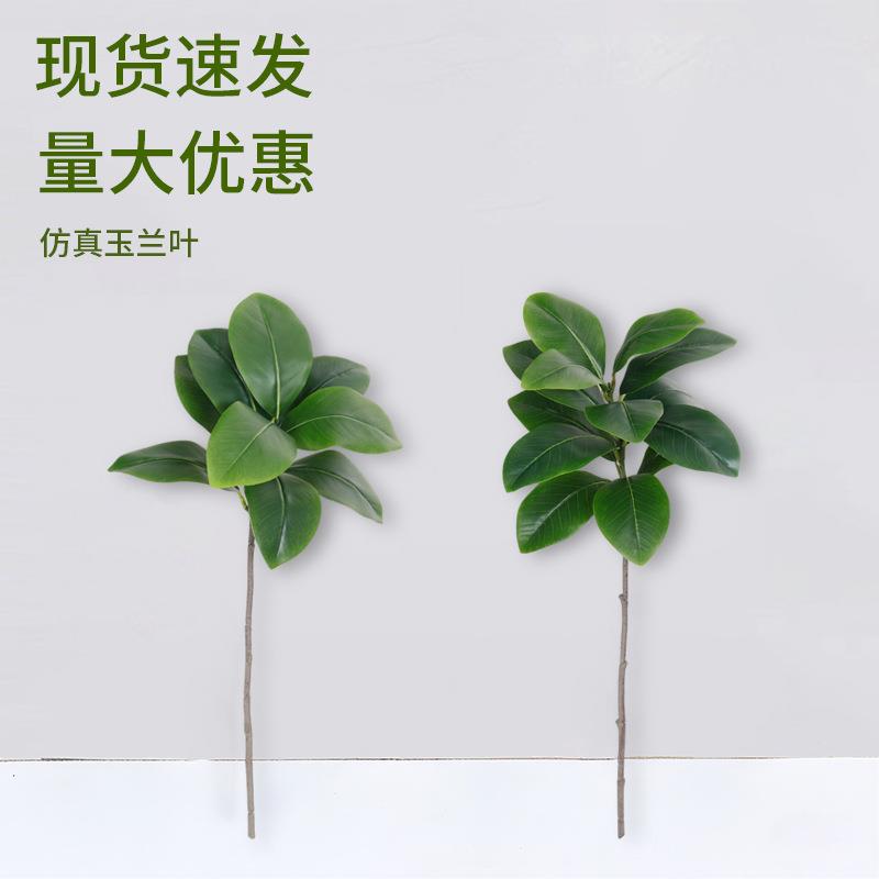 玉兰叶单枝仿真绿植酒店婚礼婚庆装饰室内客厅桌面摆件假植物造景