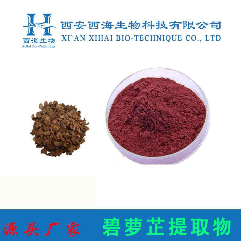 碧萝芷提取物 现货 原花青素 OPC98% 松树皮提取物 碧萝芷提取物