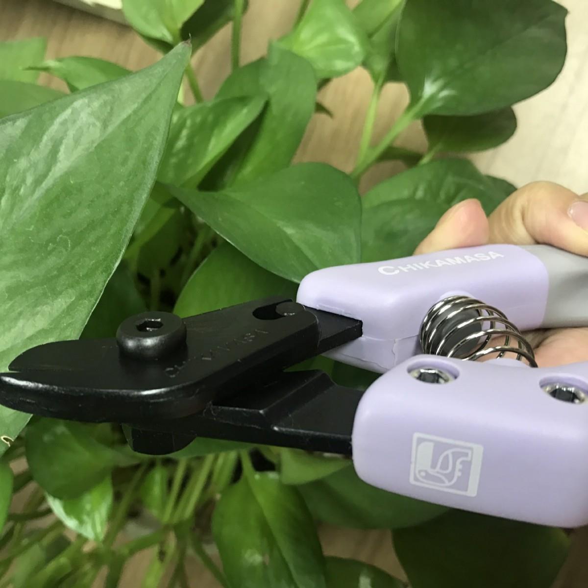 近正AC-5V大嘴鸟chkamaisa花塑料剪花剪艺剪AC-花5假V浅紫色花艺