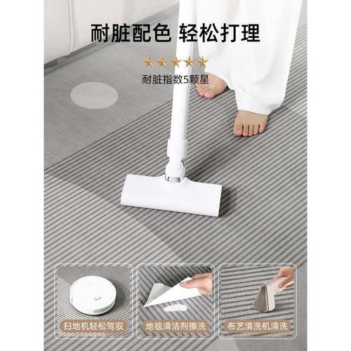 地毯客厅用202XD96445新款轻奢沙发地擦垫免洗可房卧室家间茶几毯