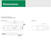 Littelfuse力特MEGA车用Slo Blo32V螺栓固定式 保险丝0298450.ZXH