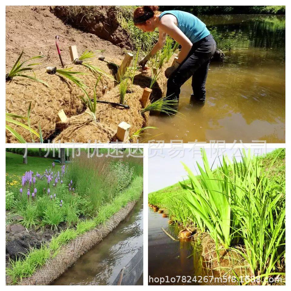 椰棕生态棒植被卷植物辊河道污水处理水环境净化废水河堤布土工袋