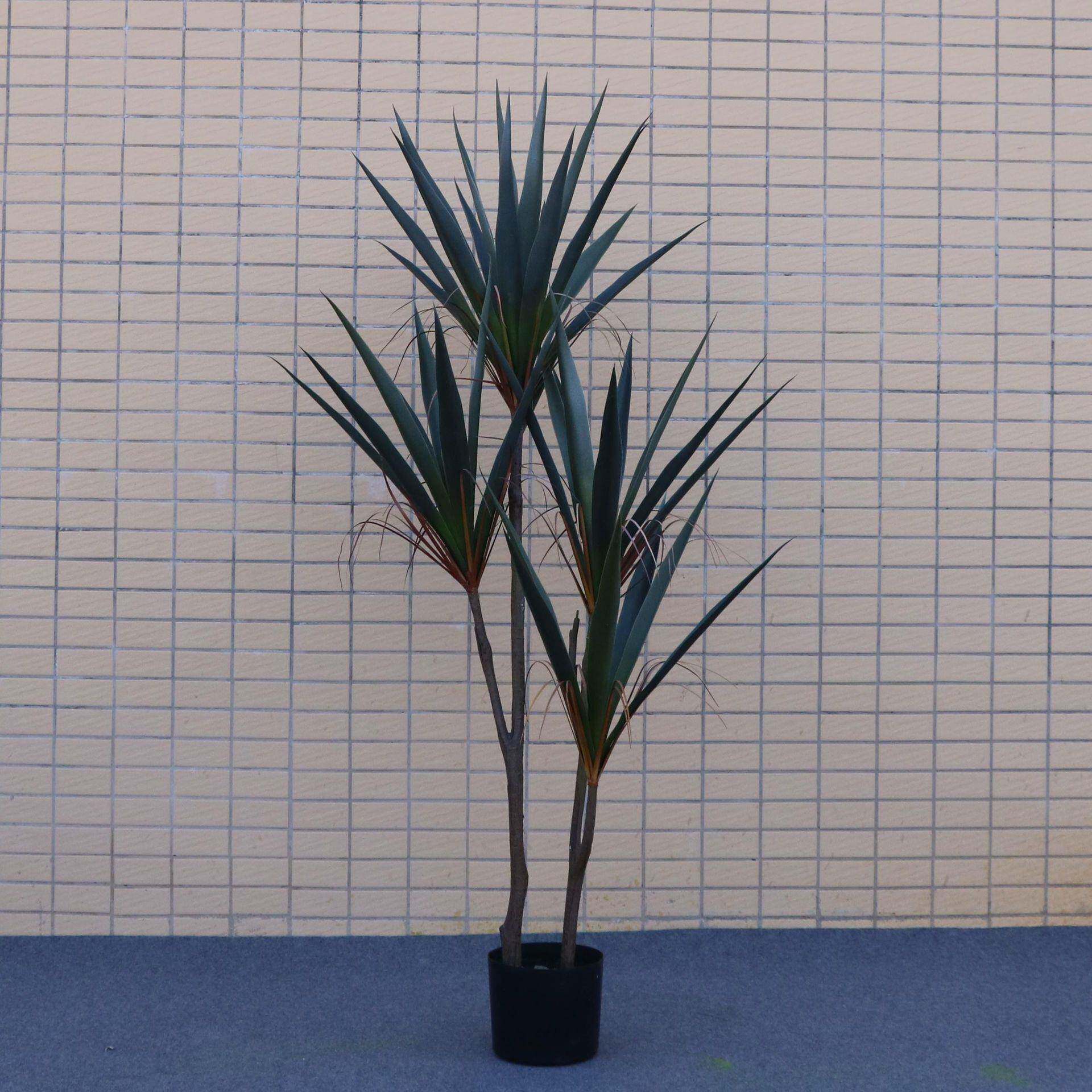 源剑头厂家真绿植小叶兰EXC剑麻龙舌仿兰假花盆景盆栽装摆件造饰