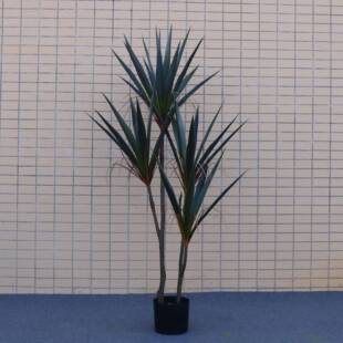 源剑头厂家真绿植小叶兰EXC剑麻龙舌仿兰假花盆景盆栽装摆件造饰