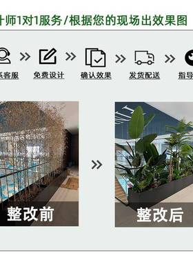 仿植造景组合旅人盆栽室内景观花槽假植物芦苇花蕉真QFF箱摆件绿