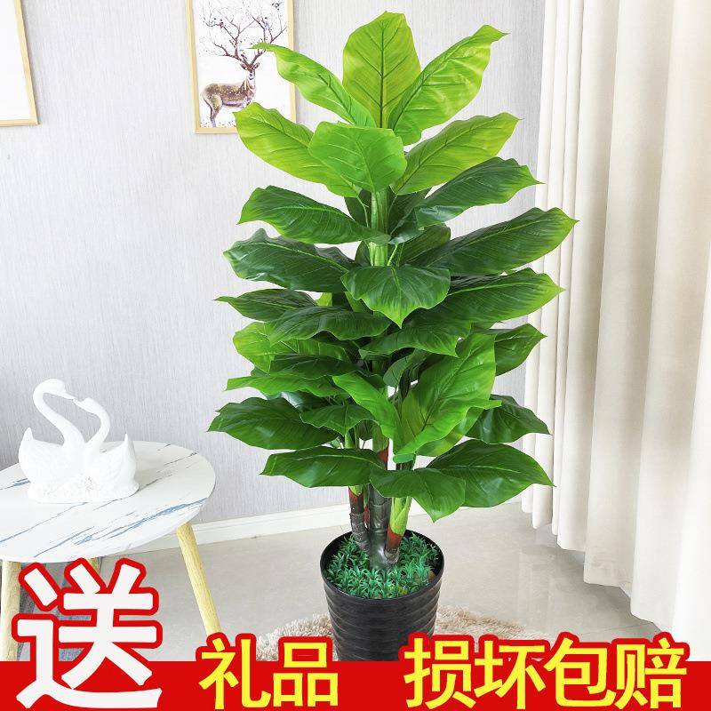 仿装真真绿植水假树仿植物盆景室内饰滴盆NIY栽假花大型客厅落地