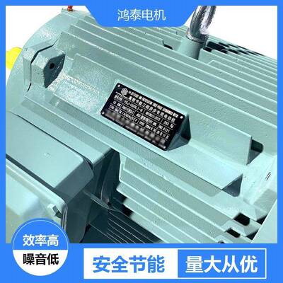 鸿泰低压三5相异步电tYVFE3-31L500561-41机60KWt38t0Vt易于安装