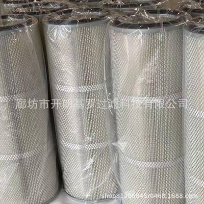 抛丸机2喷砂机除尘器专用滤芯外固加30x600x带660x900c91220m除尘