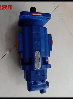 JHP080/00泵10双齿轮2泵斗山装载机双联HVB111544联2290