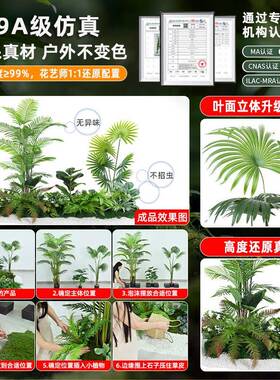 仿真绿场植造景VXZ组合室内橱窗空间装饰仿真仿栽生植物盆景景观