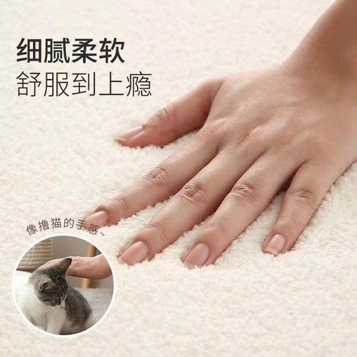 奶油风毯地客厅简约清新沙发茶卧室房RVZ间榻垫榻米几大面积床边